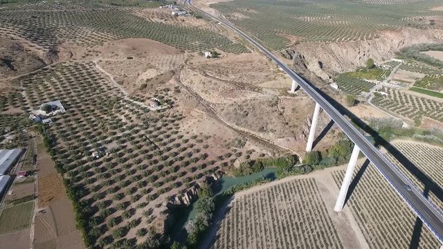 1080p Aerial, Flight over a highway bridge and down river village and olive orchards, Andalucia, Spain. Staright rows of olive trees and high rise bridge with going on cars. Way to Cordoba