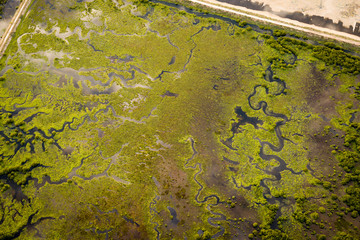 Creek and mangroves from the air