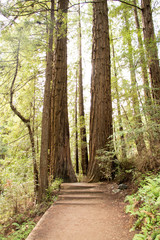 Two guardians of the trail
