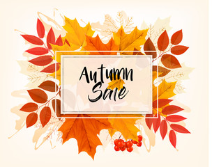 Autumn Sales Card With Colorful Leaves. Vector.
