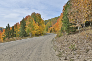 Autumn mountain road