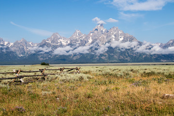 Grand Tetons