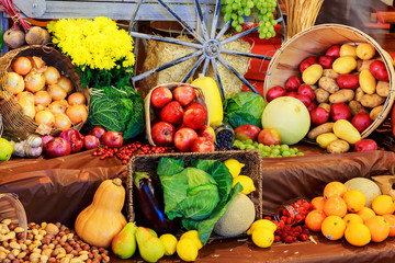Thanksgiving day: Healthy Organic Vegetables on a Wooden Background.