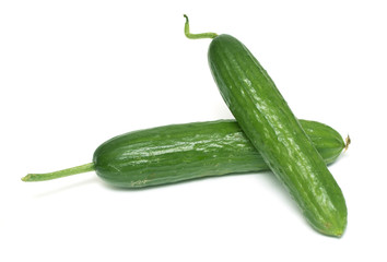 Two green cucumbers on a white background