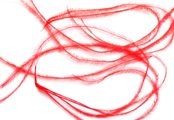 red feathers for the dress on a white background