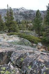 Sierra Nevada Trail