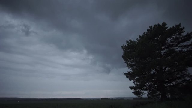 Magical evening with tree. Footage. Lonely tree in a field at the evening. Beautiful night landscape