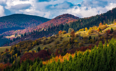 village on a hillside with forest in autumn. gorgeous and colorful mountainous scenery with great weather