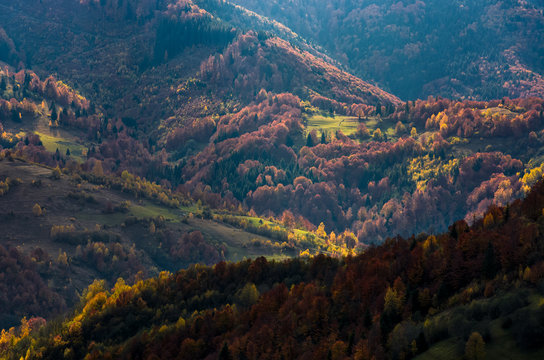 Beautiful orange and red foliage of autumn forest on hills. gorgeous atmosphere in mountains
