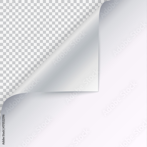 page curl with shadow on blank sheet of paper vector curled corner blank sheet of paper