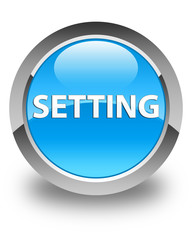 Setting glossy cyan blue round button