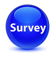 Survey glassy blue round button