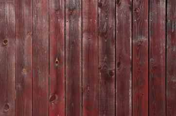 Fototapeta premium texture scales of fish photo