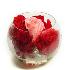 Buds of roses in a round glass vase on a white background.