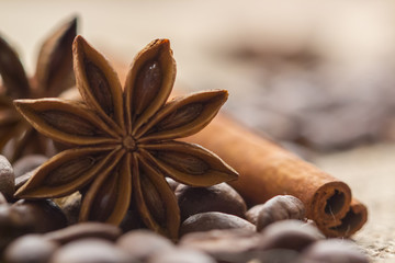 coffee beans and star anise on coarse fabric