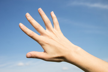 Female hand on a background of the sky. Hand rural worker.