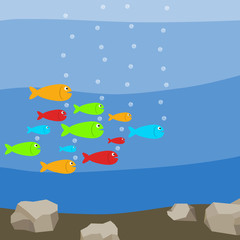 A flock of colorful fish in the water, many fish