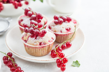red currant muffins with fresh berries and powdered sugar