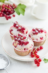 red currant muffins with fresh berries and powdered sugar