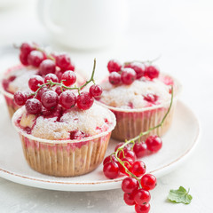 vanilla red currant muffins with fresh berries and powdered sugar