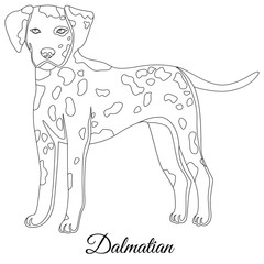 Dalmatian dog outline
