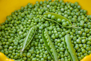 Fototapeta na wymiar Green peas. Fresh Homemade Peas. Peas in cinnamon