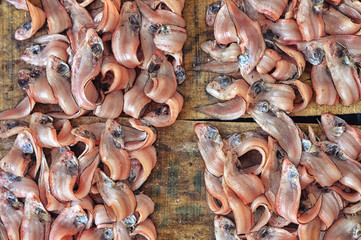 fresh fish on market