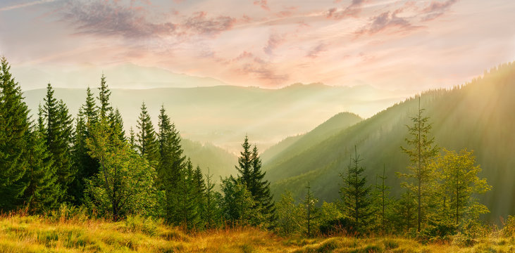 Fototapeta Panorama of the mountain valley with fog at sunrise