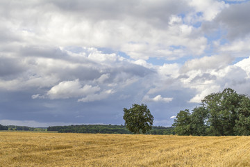 rural landscape with clouds