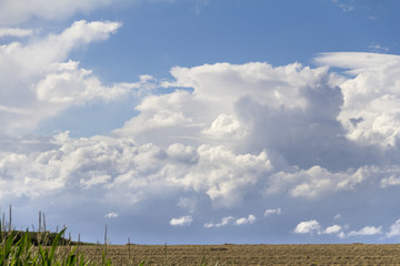 Obraz premium rural landscape with clouds