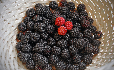 Blackberries in wicker basket