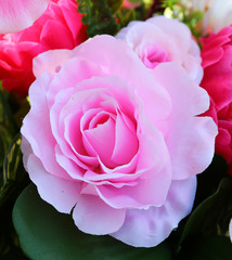 Fototapeta premium Colorful artificial roses flowers.