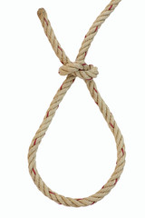 noose rope / loop knot isolated on white.