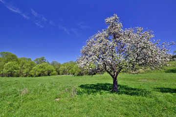 Beskid Niski at spring sunny day, Poland