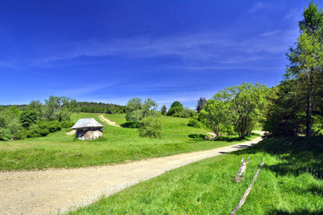 Field, rural road, wayside shrine and landscape, Beskid Niski, Poland
 - obrazy, fototapety, plakaty