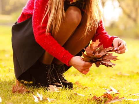 Woman in autumn park picking gold leaves