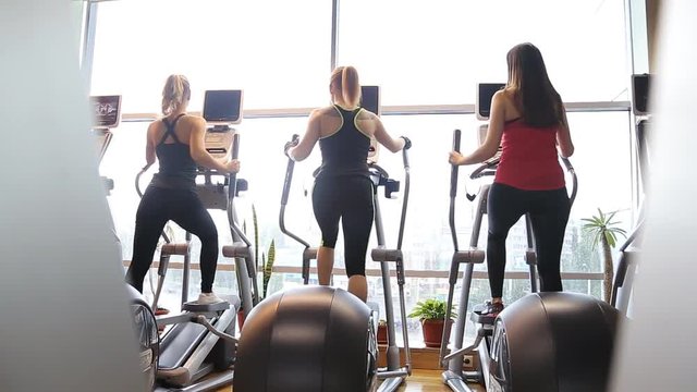 Group of girls deals on octagon window rear view.