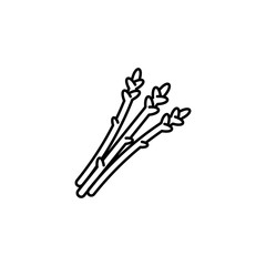 Asparagus thin line icon. Vegan natural bio vegetable pictogram. Asparagus simple organic food linear sign.
