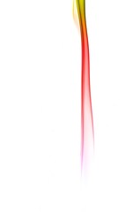 Abstract colorful smoke on white background, smoke background,colorful ink background,yellow,blue,red