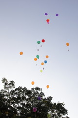 Hochzeitsglückwünsche