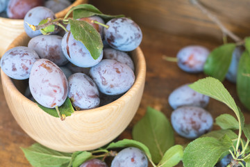Fresh plums with green leaves in wooden pot on the dark wooden table. Shallow depth of field. Toned.