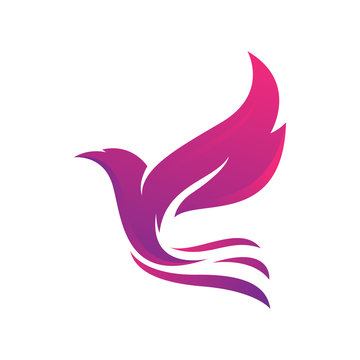 beautiful dove pigeon bird logo
