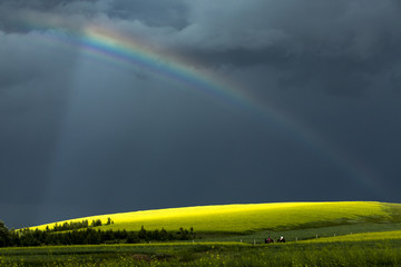 Obraz na płótnie Canvas rainbow over grassland