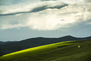 Obraz premium rainbow over grassland