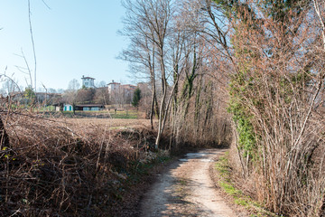 Naklejka premium Spring walk between the fields and in the woods. Friuli to discover