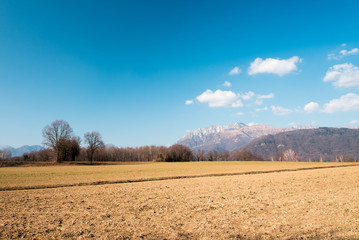 Fototapeta na wymiar Spring walk between the fields and in the woods. Friuli to discover