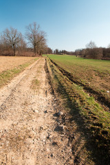 Obraz premium Spring walk between the fields and in the woods. Friuli to discover