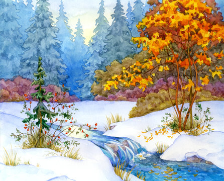 Winter Forest scene
