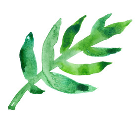 Single green palm tree leaf painted in watercolor on clean white background