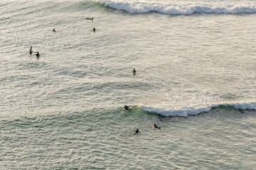 Aerial view of group of  surfing under evening sunlight